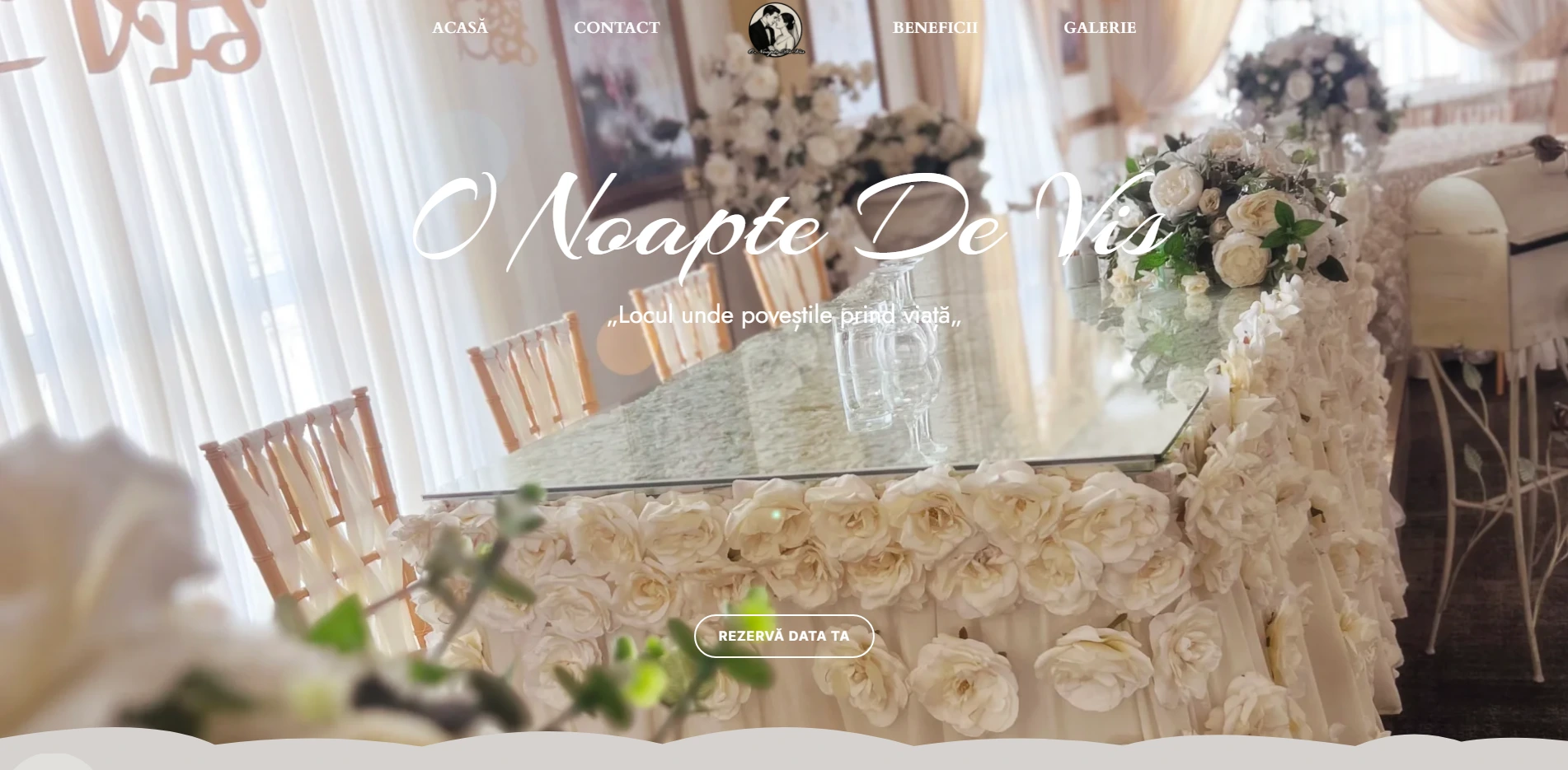 O Noapte De Vis — web development